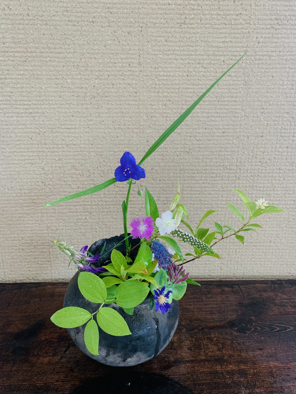 本日のクリニックの花々