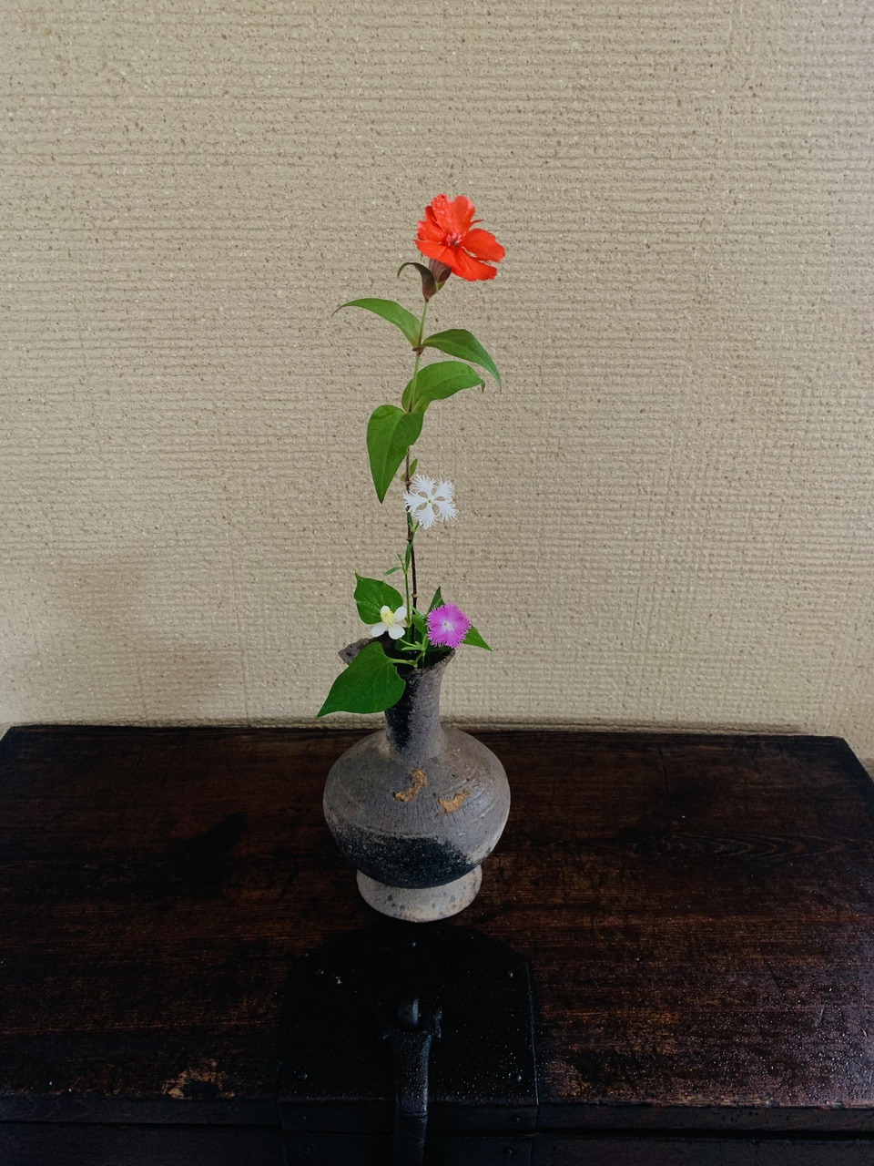 本日のクリニックの花々