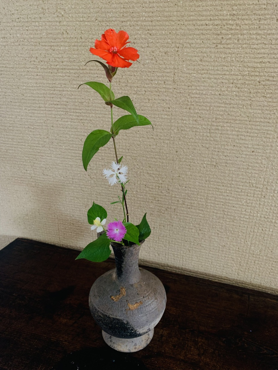 本日のクリニックの花々