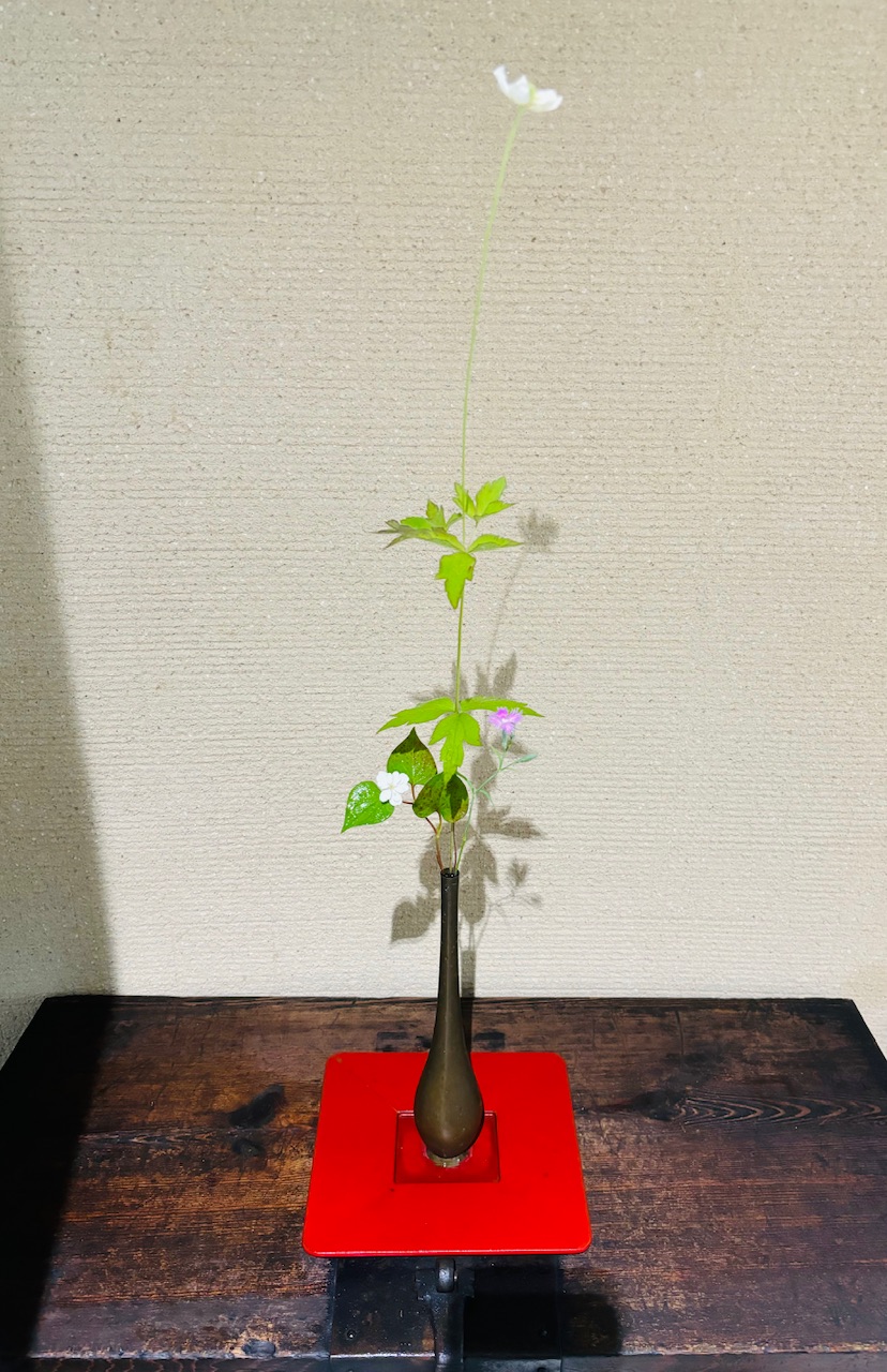 本日のクリニックの花々