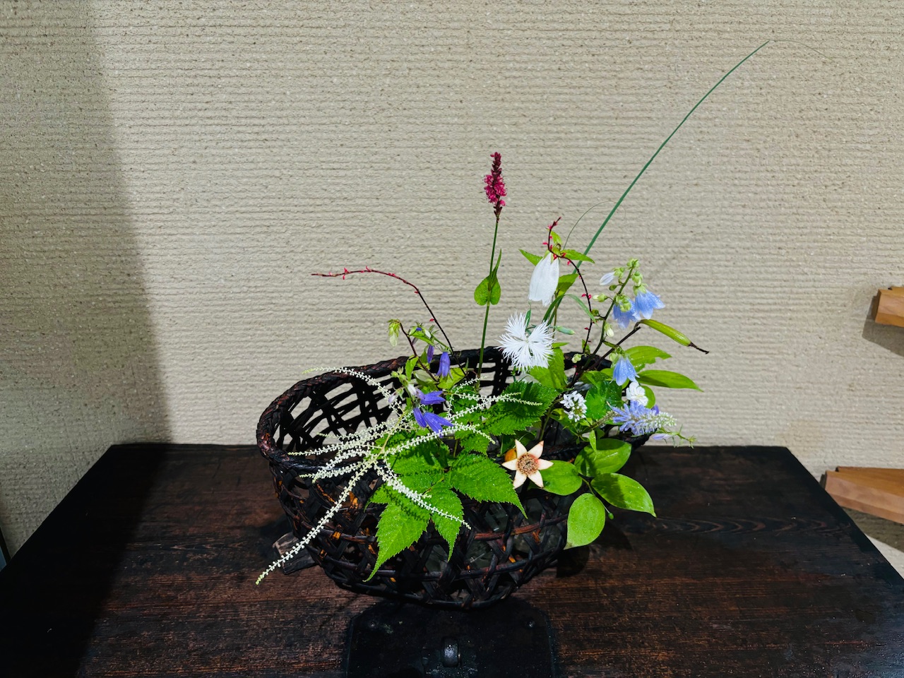 本日のクリニックの花々