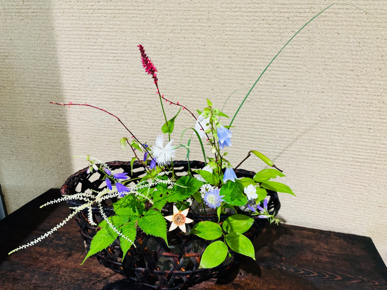 本日のクリニックの花々