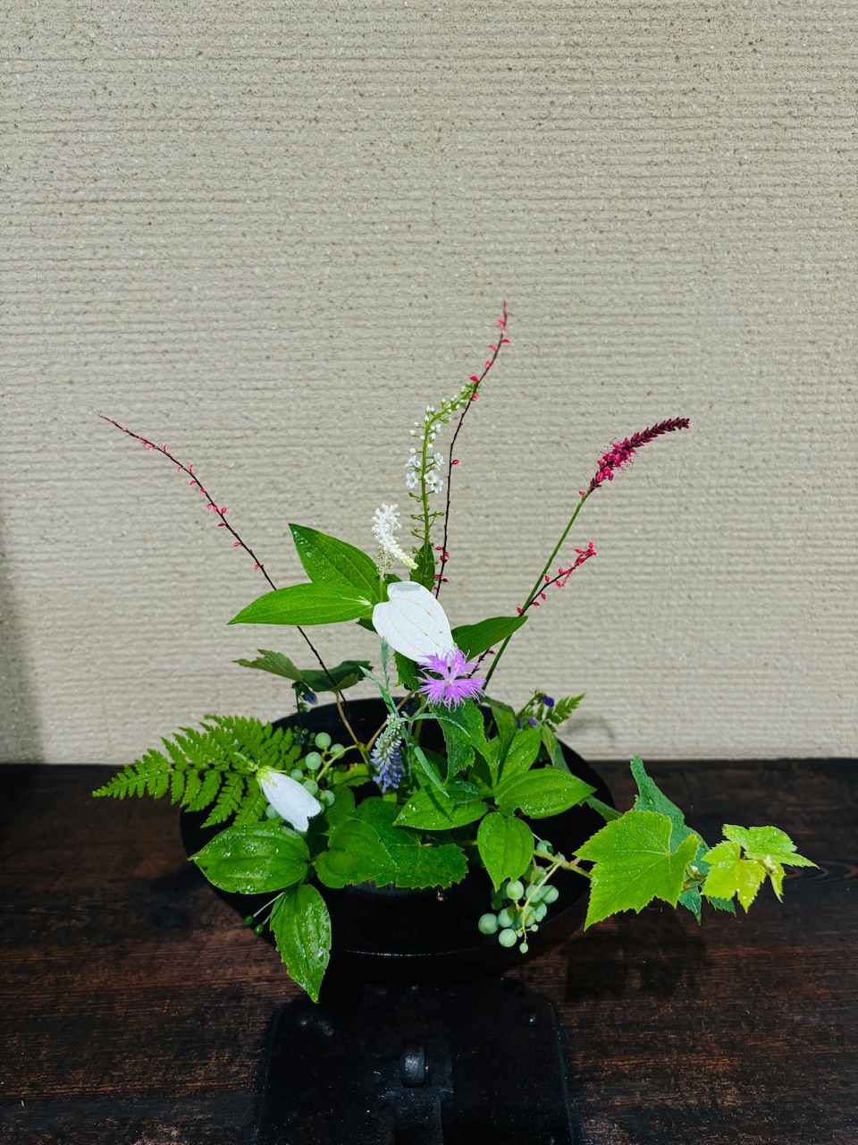 本日のクリニックの花々