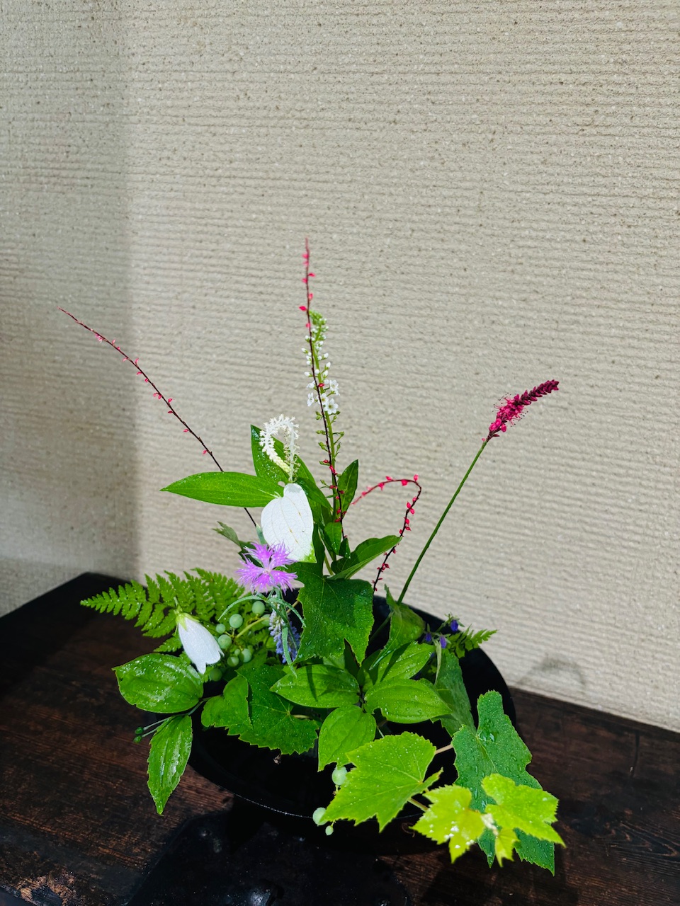 本日のクリニックの花々