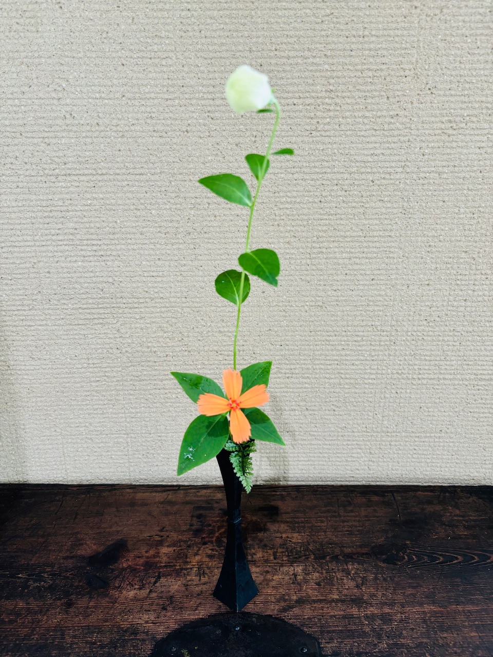 本日のクリニックの花々