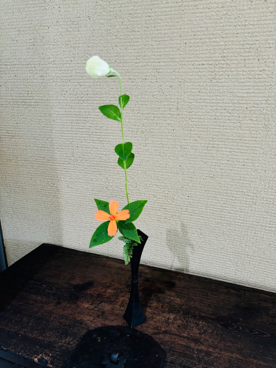 本日のクリニックの花々