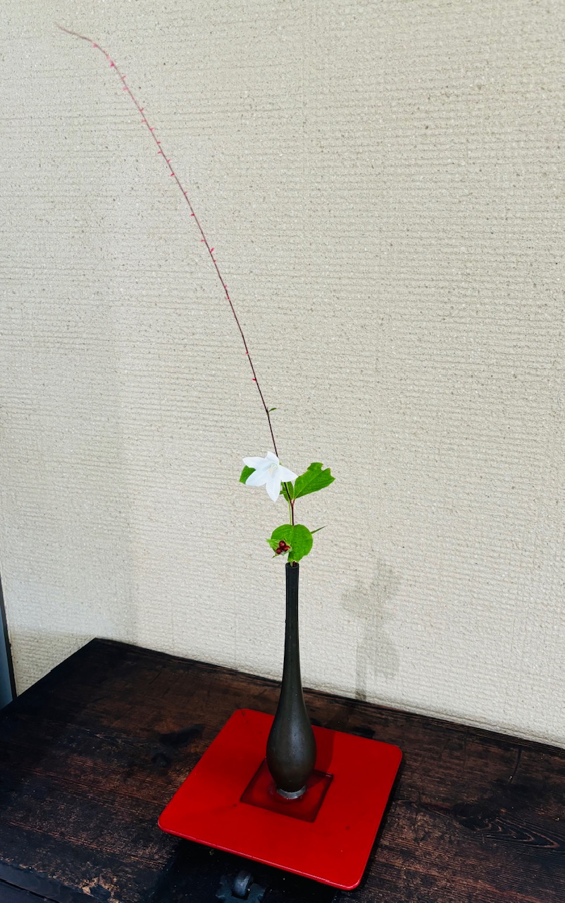 本日のクリニックの花々