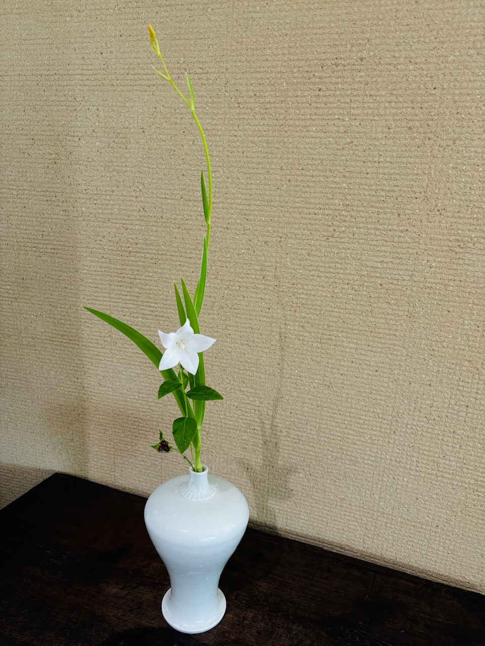 本日のクリニックの花々