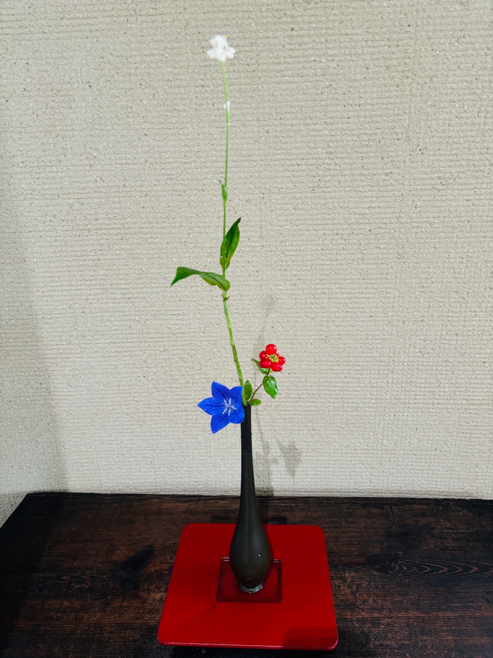 本日のクリニックの花々