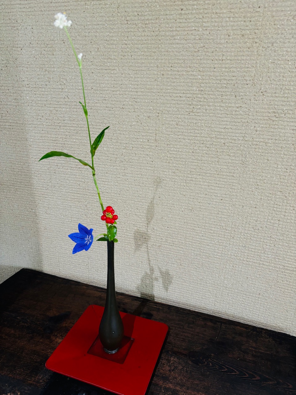 本日のクリニックの花々