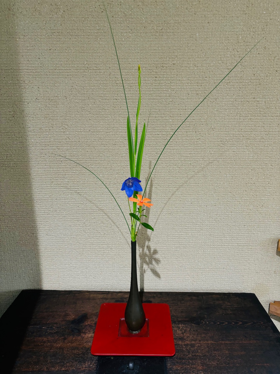 本日のクリニックの花々