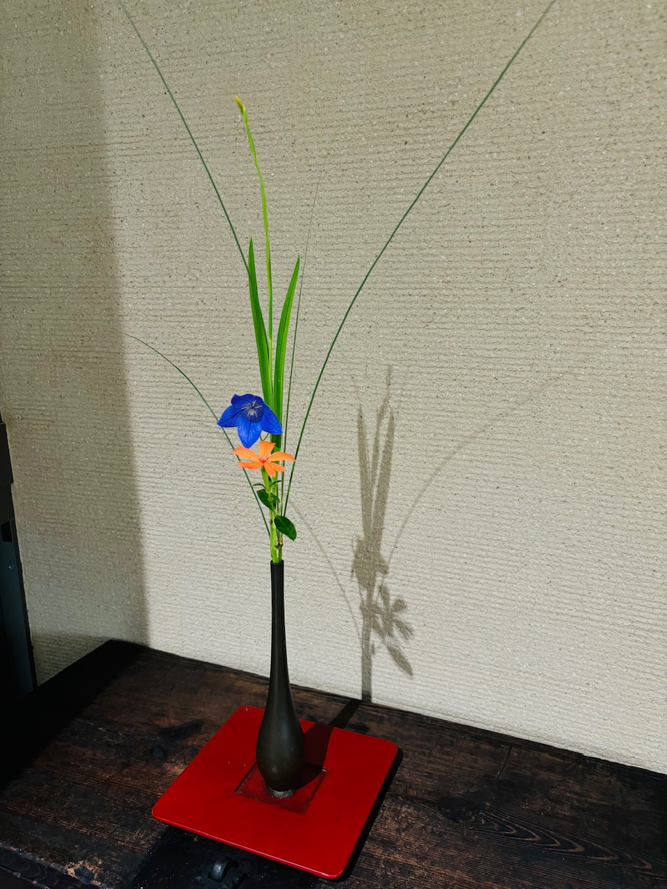 本日のクリニックの花々