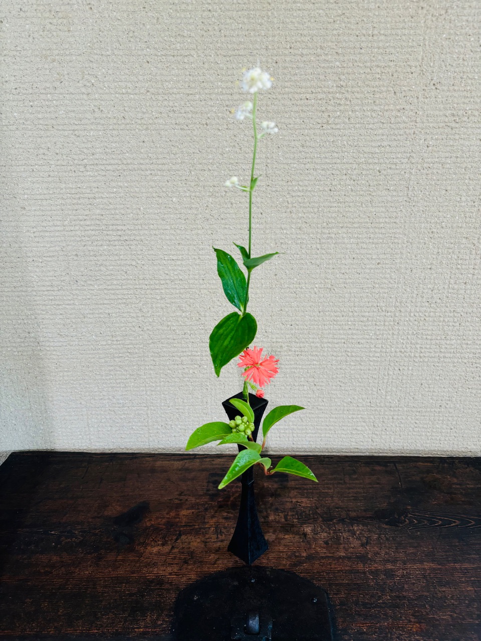 本日のクリニックの花々　　