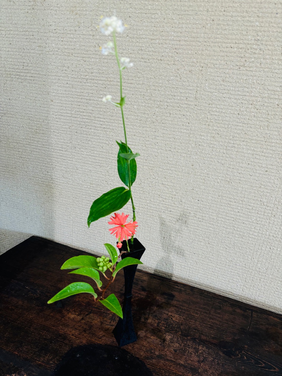 本日のクリニックの花々　　