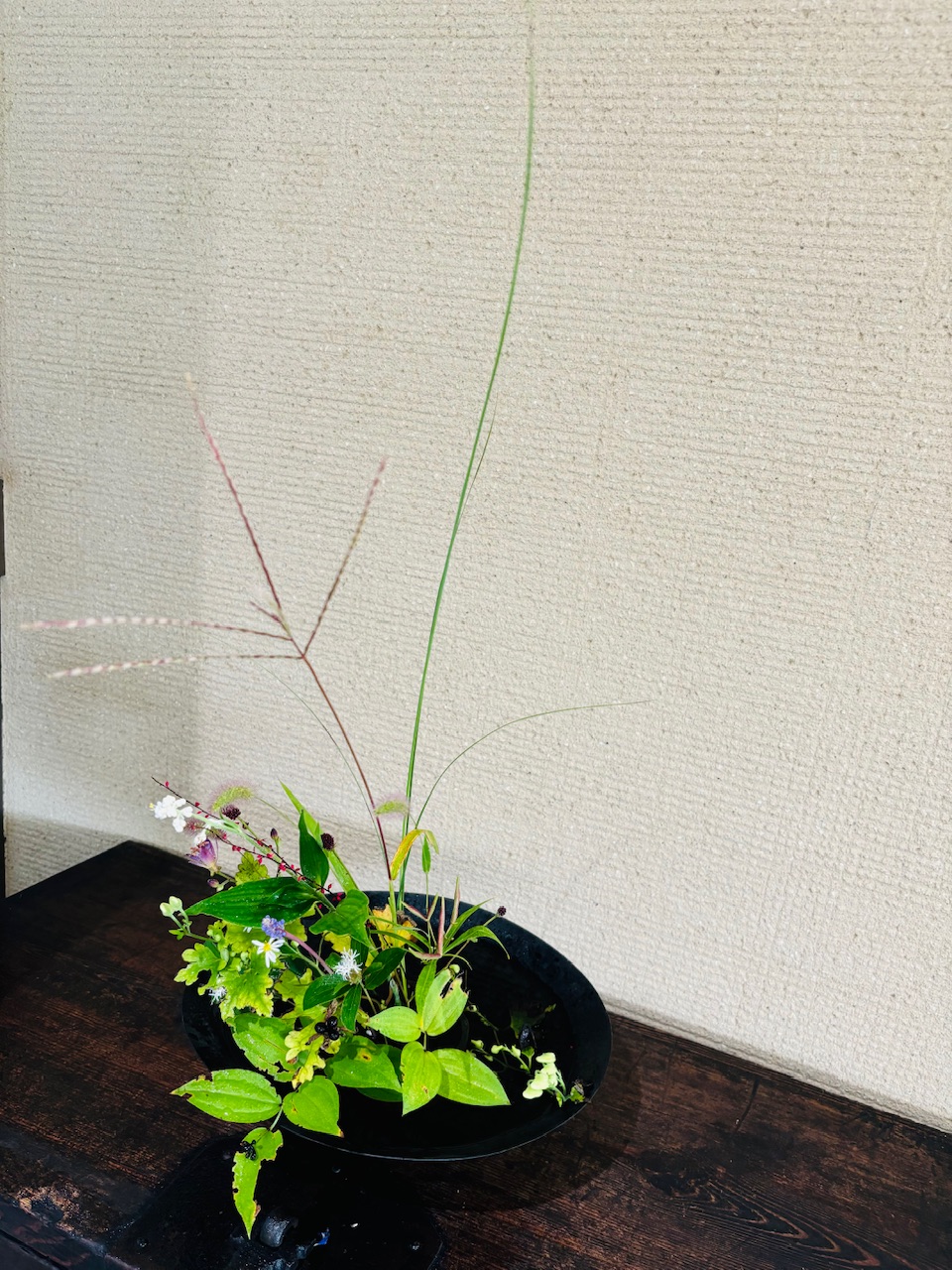 本日のクリニックの花々