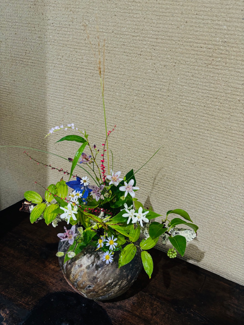 本日のクリニックの花々　　　-深まる秋の饗宴-