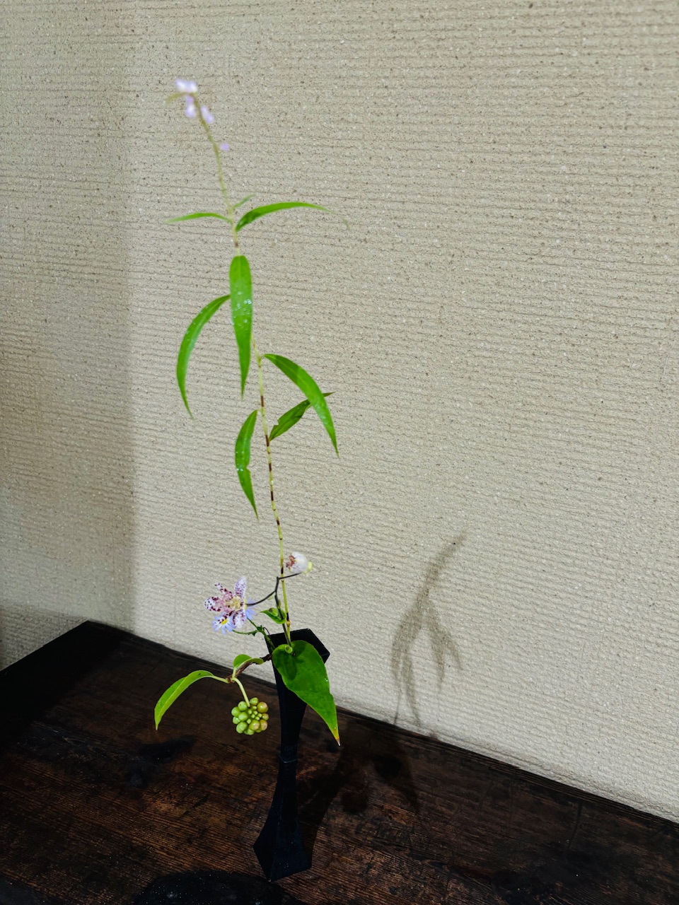 本日のクリニックの花々