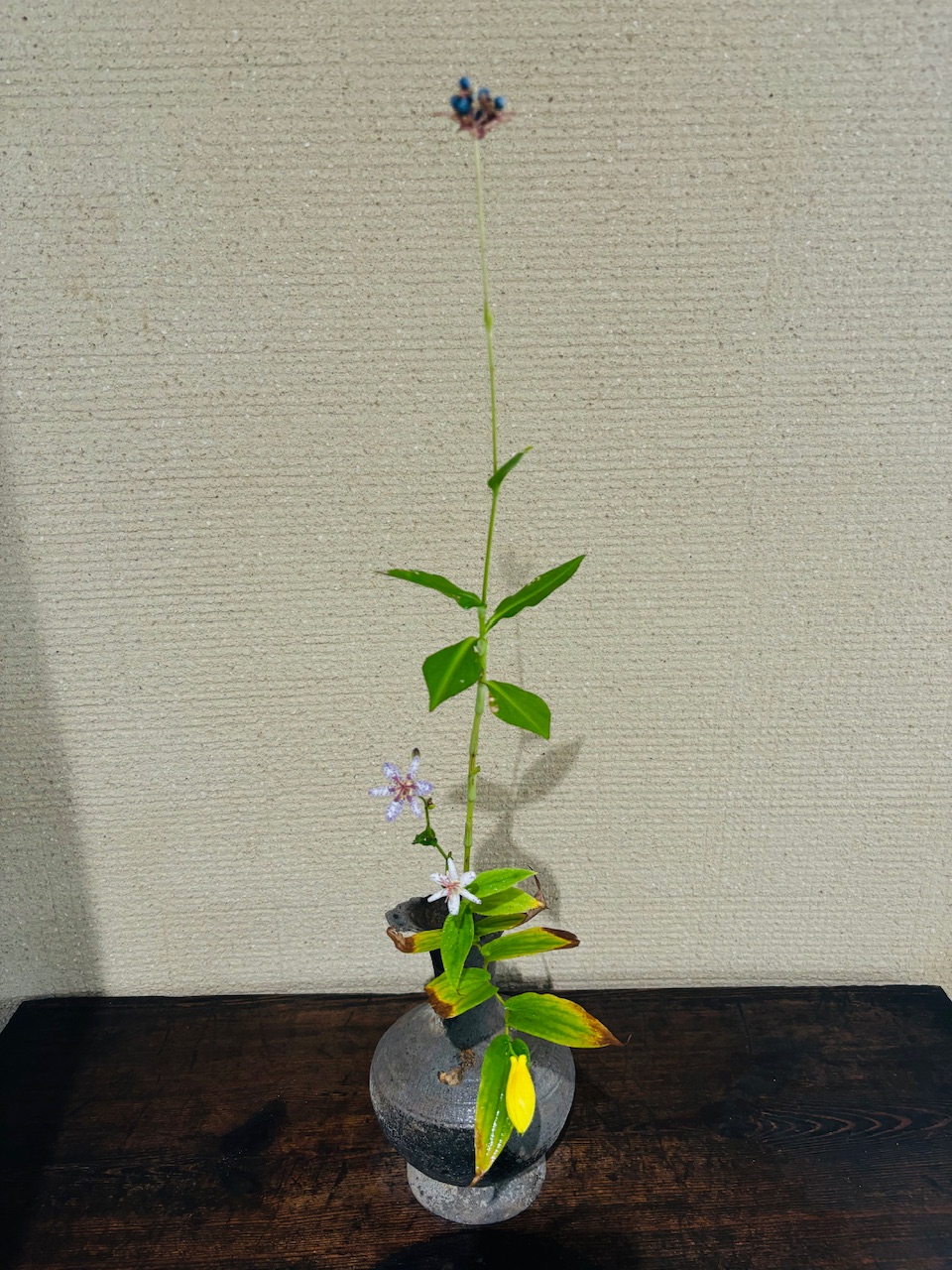 本日のクリニックの花々