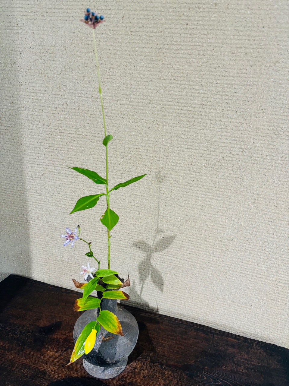 本日のクリニックの花々