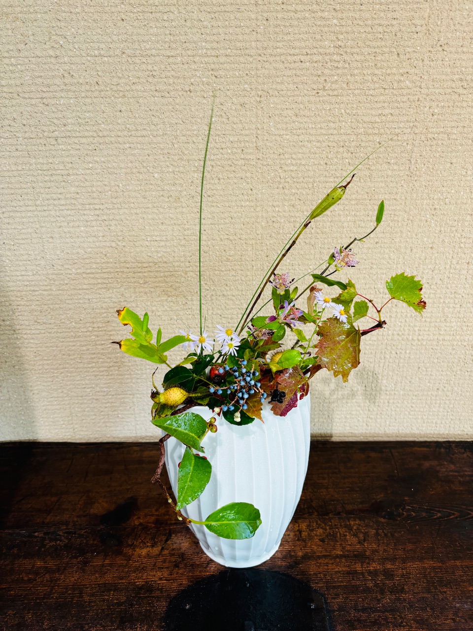 本日のクリニックの花々