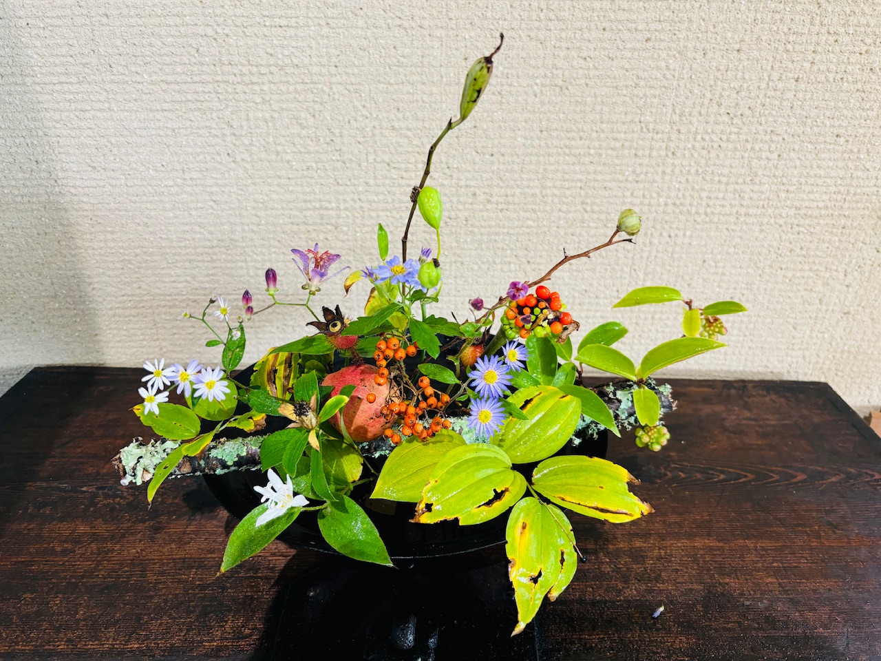 本日のクリニックの花々