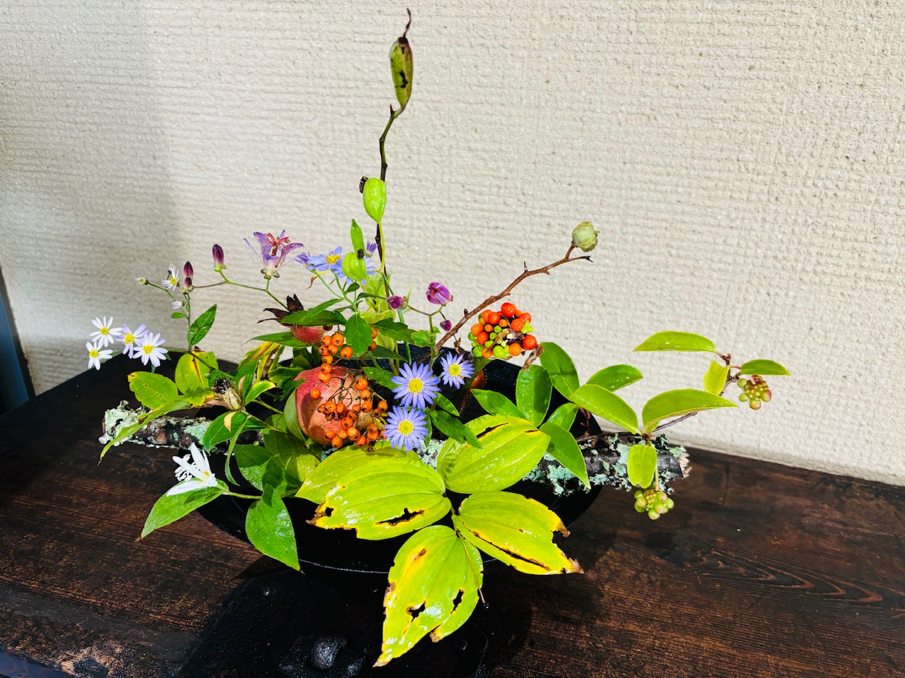 本日のクリニックの花々