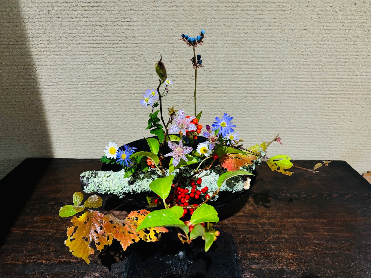 本日のクリニックの花々