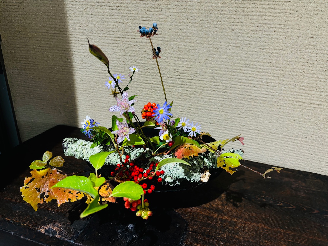 本日のクリニックの花々