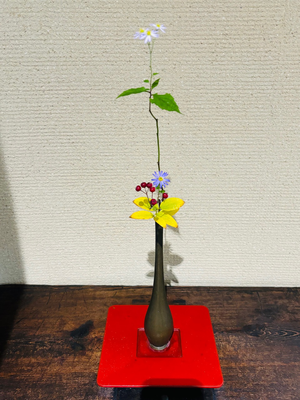 本日のクリニックの花々