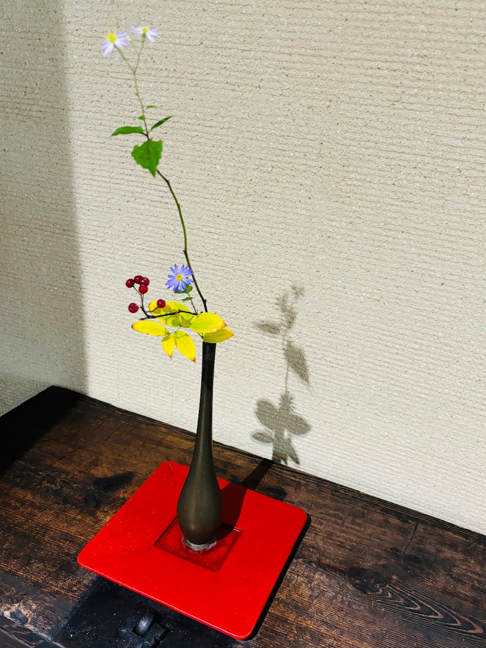 本日のクリニックの花々