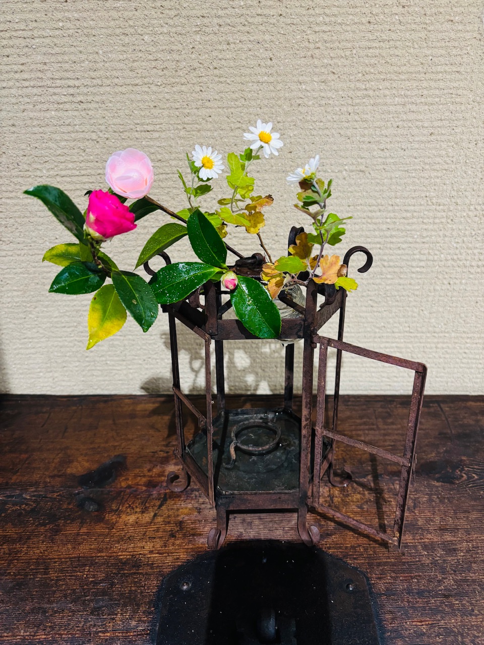 本日のクリニックの花々