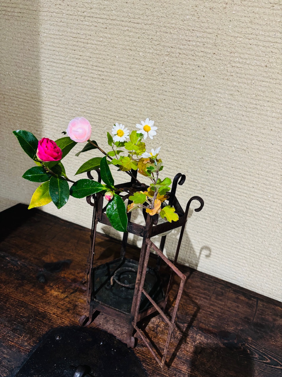 本日のクリニックの花々