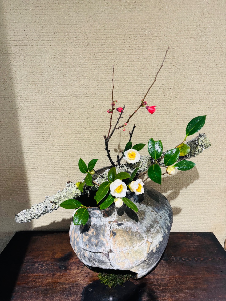 本日のクリニックの花々