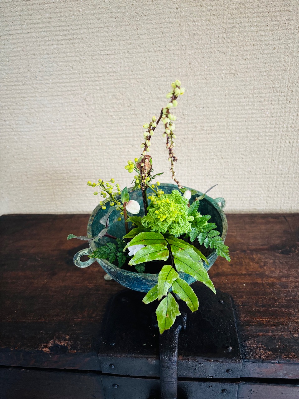 本日のクリニックの花々