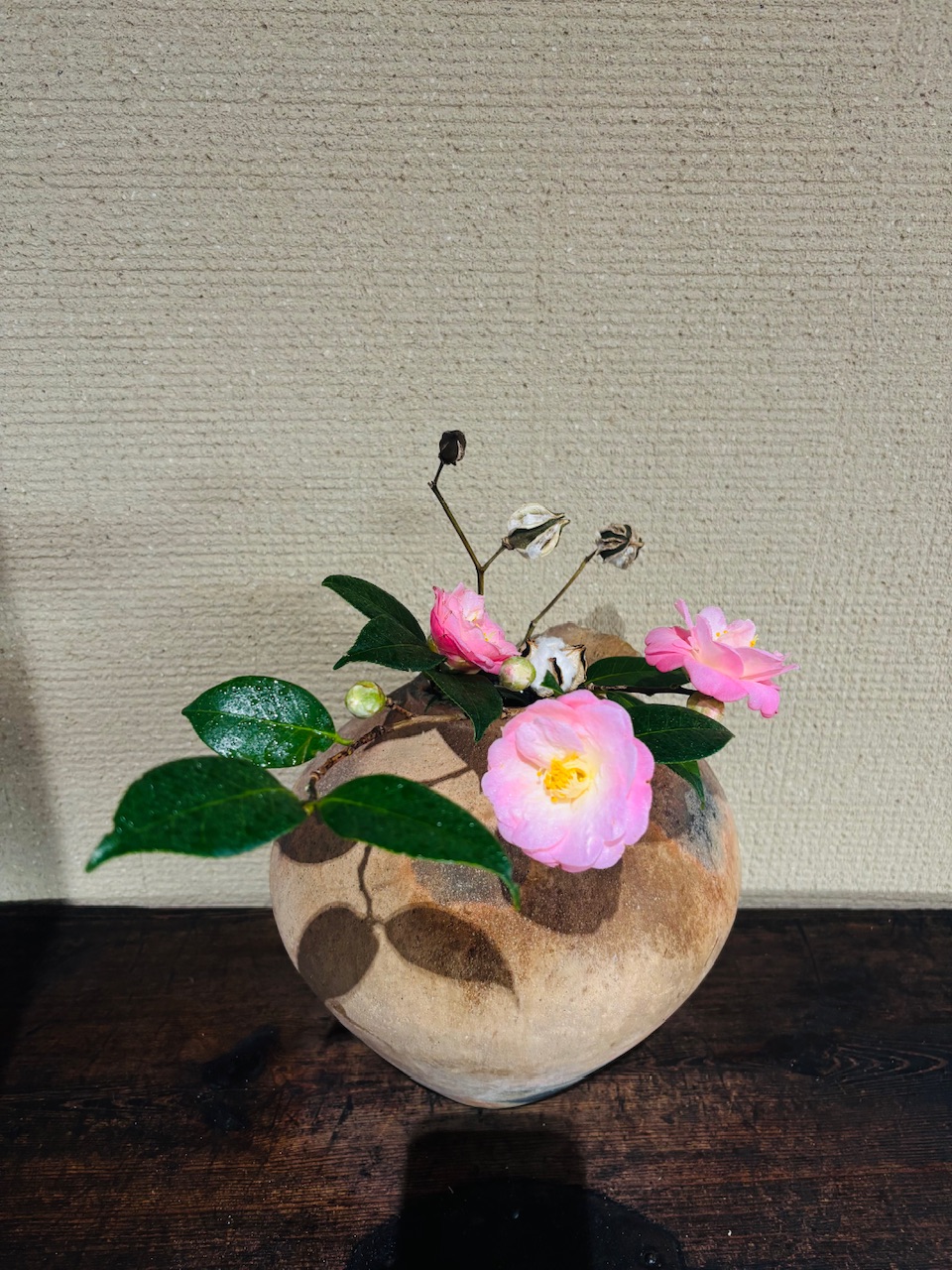 本日のクリニックの花々