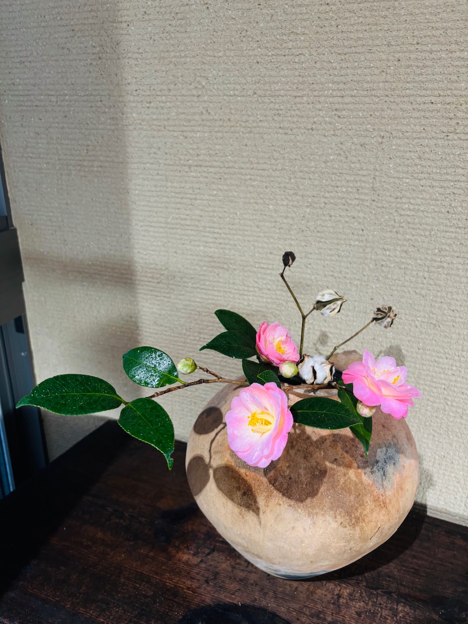 本日のクリニックの花々