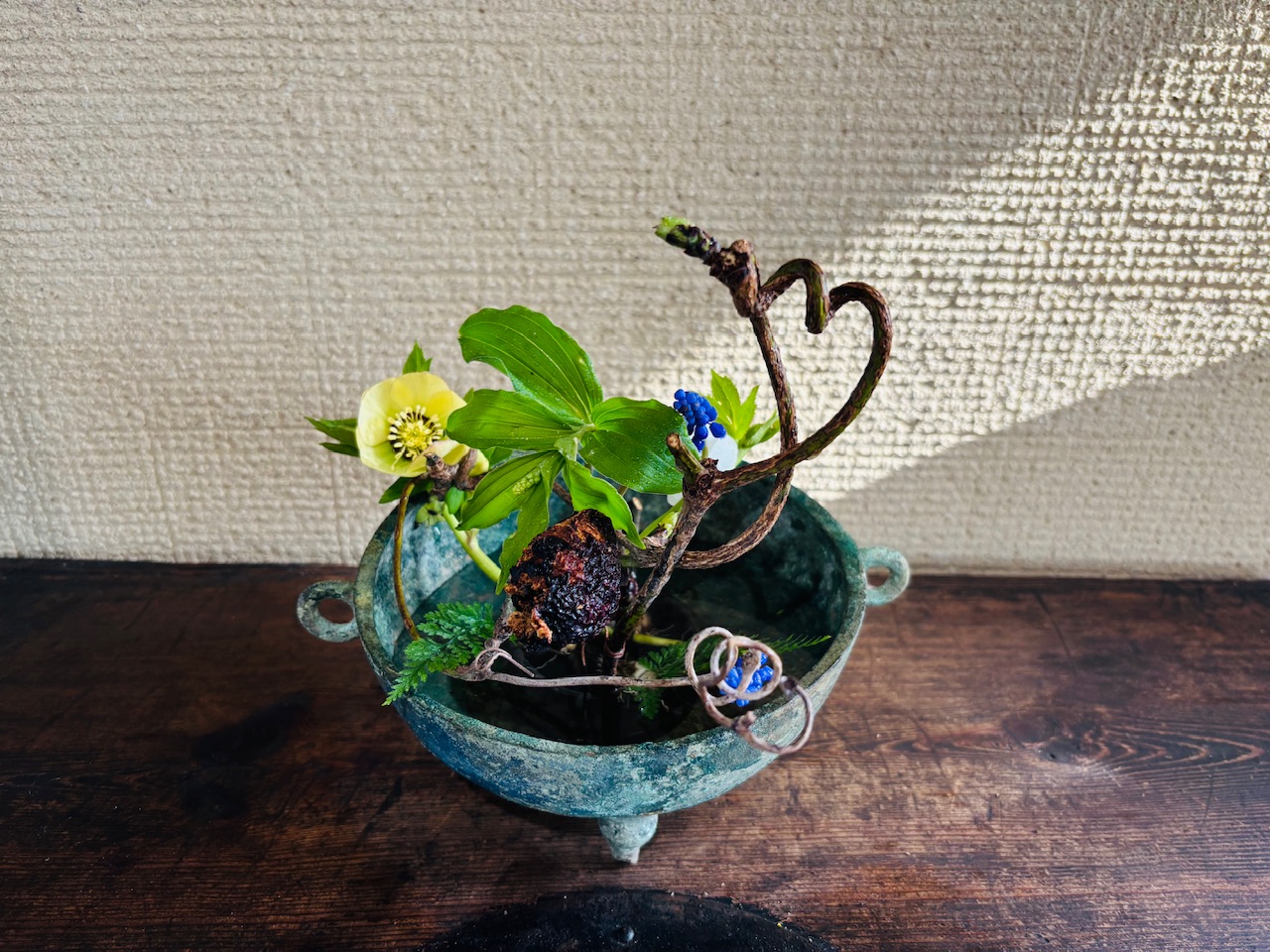 本日のクリニックの花々
