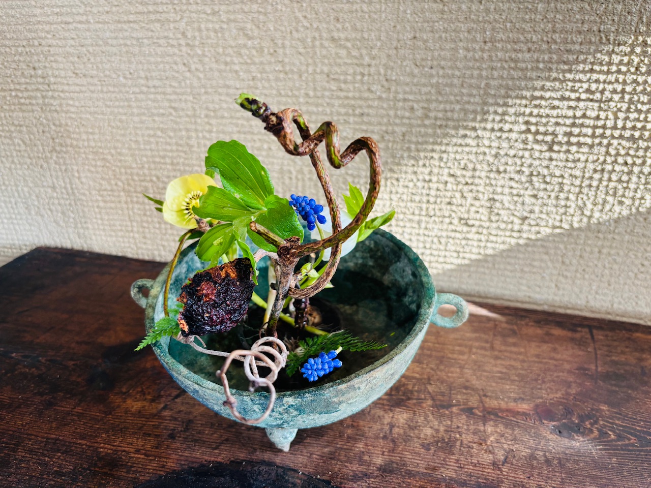 本日のクリニックの花々