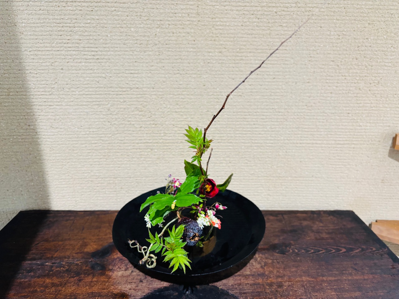 本日のクリニックの花々