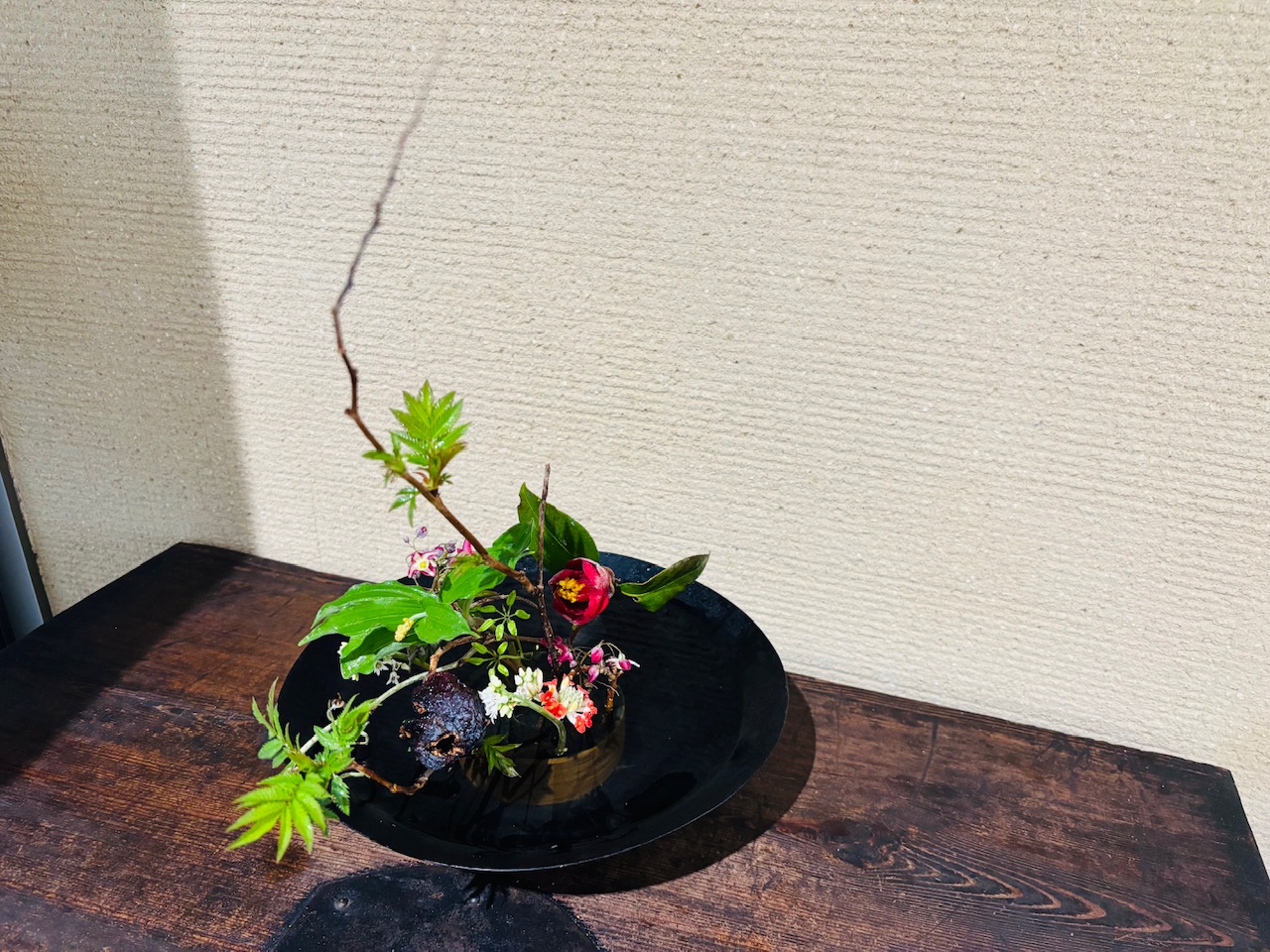 本日のクリニックの花々