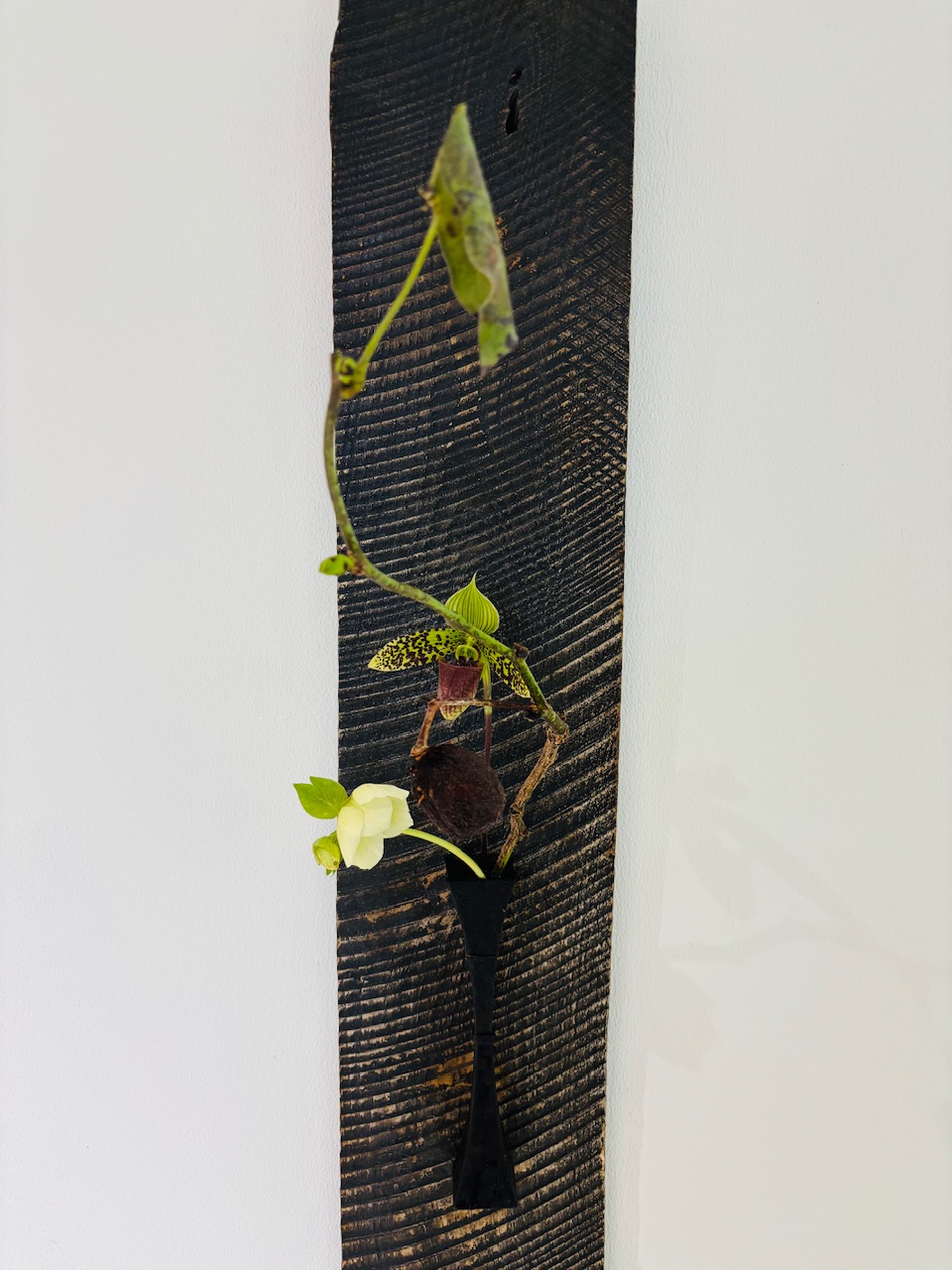 本日のクリニックの花々