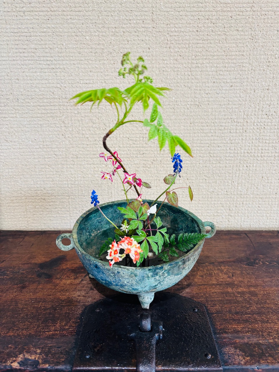 本日のクリニックの花々