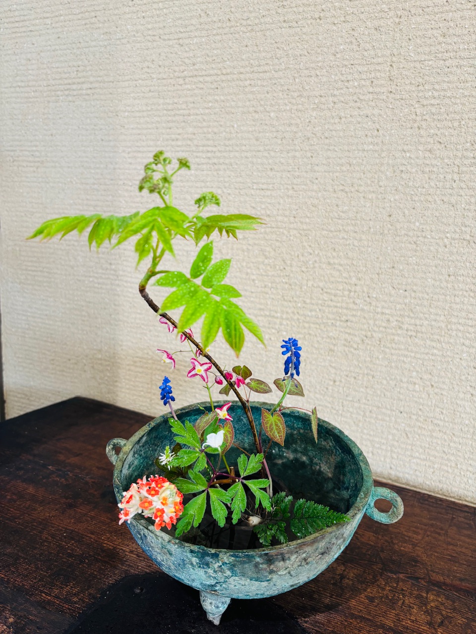 本日のクリニックの花々