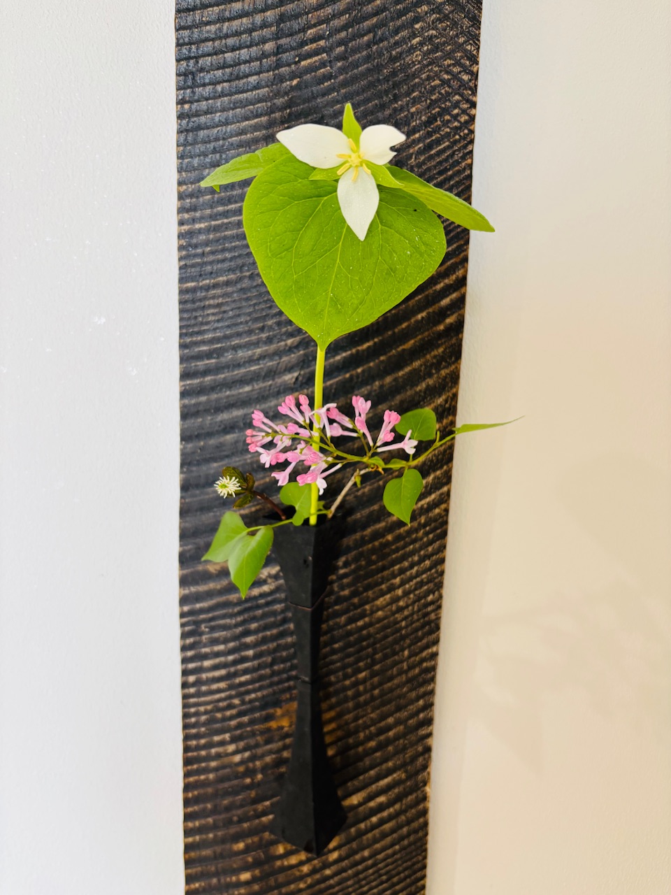 本日のクリニックの花々
