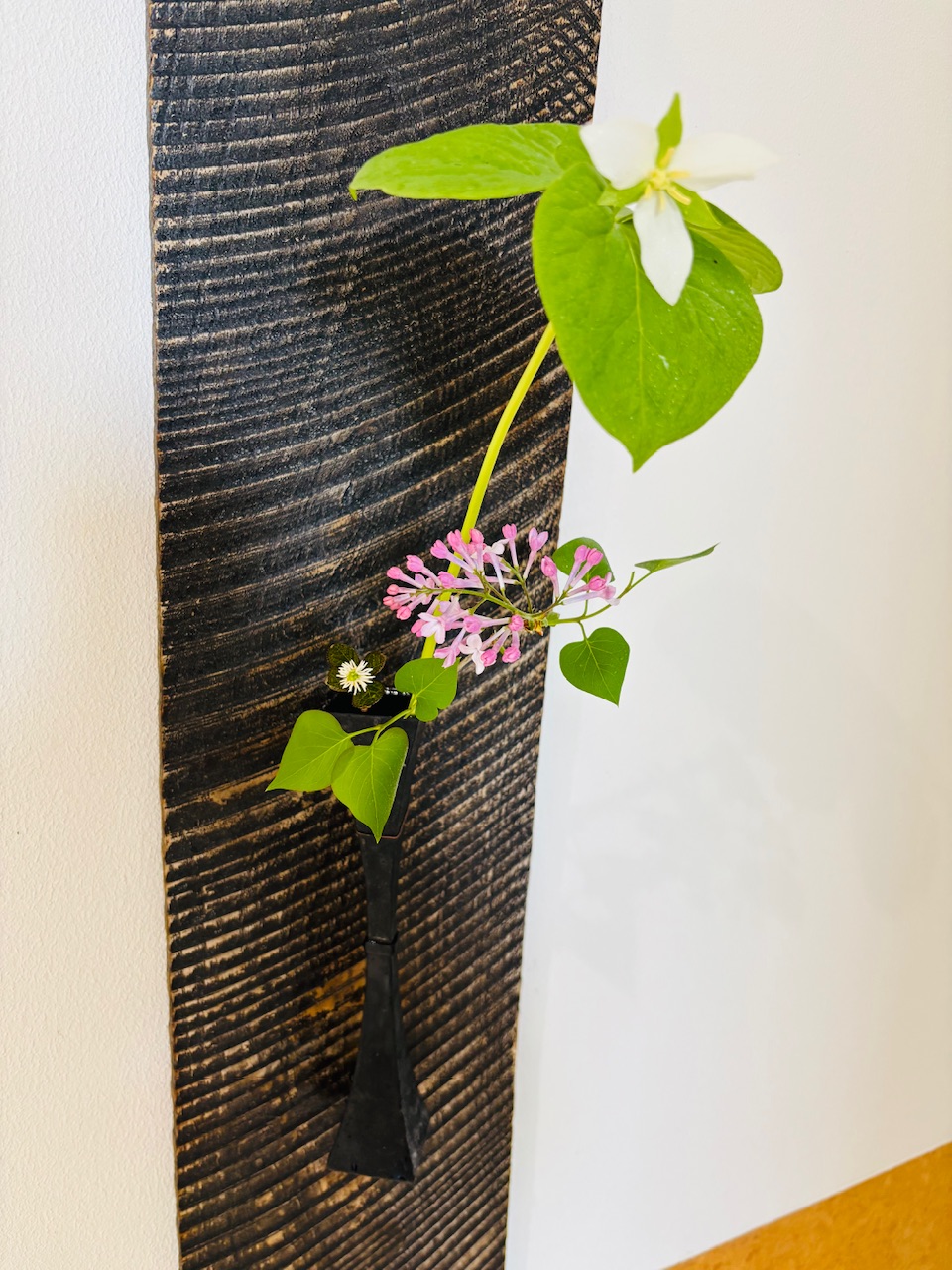 本日のクリニックの花々