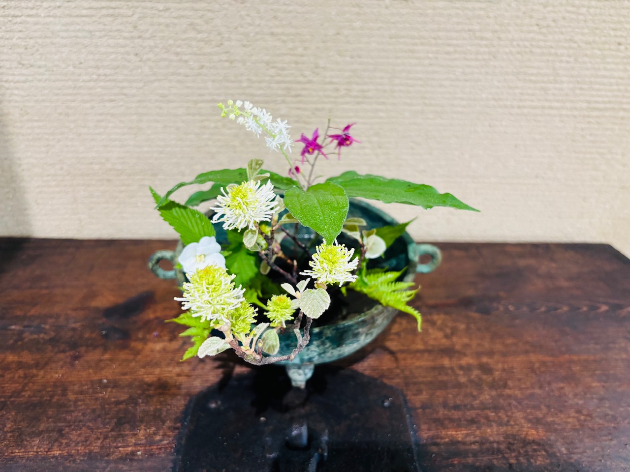 本日のクリニックの花々