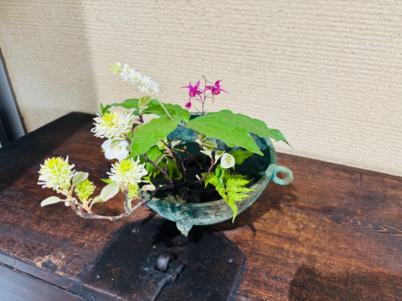 本日のクリニックの花々