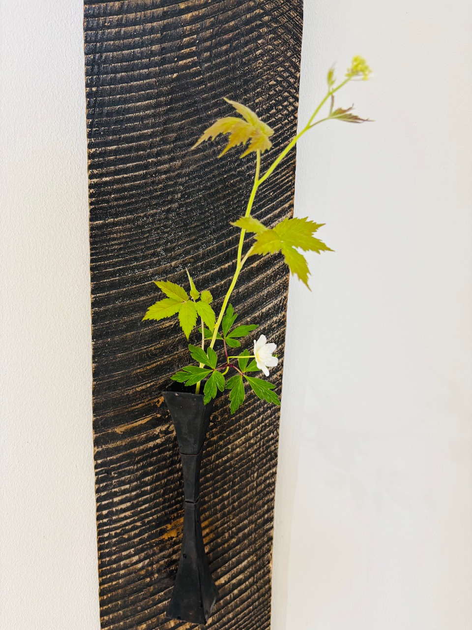 本日のクリニックの花々