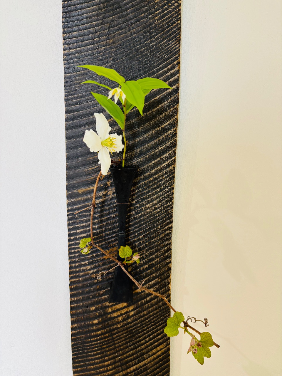 本日のクリニックの花々