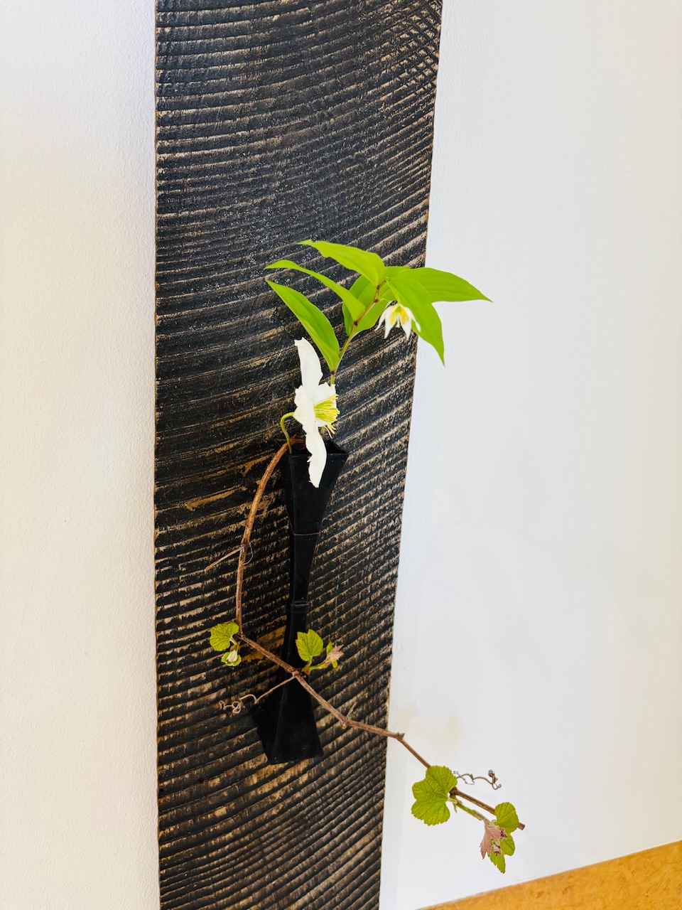本日のクリニックの花々